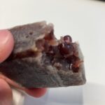 コンビニ セブンイレブン 和菓子