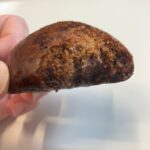 コンビニ ローソン シャトレーゼ