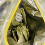 100均 ダイソー 鹿児島県産知覧茶