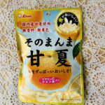 ファミリーマートで甘いものが食べたいなと見つけた「そのまんま甘夏」。まさに甘夏の皮そのまんまです。 国内産の甘夏の皮を使っていて、一口含むと甘夏の香りと甘酸っぱ