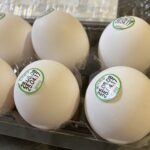 コンビニ セブンイレブン こだわり新鮮たまご