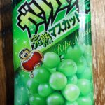 大人気！大人なガリガリ君シリーズ！偶然、セブンイレブンで見かけてしまったらこれは買うしかないと購入！AKAGI「大人なガリガリ君完熟マスカット」をご紹介！！ Ｈ