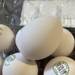 コンビニ セブンイレブン 玉子