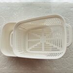 100均 ダイソー 豆苗