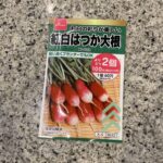 DAISOで大人気の野菜の種子コーナーに秋まき種が並んでいたので【紅白はつか大根】を買ってみました。 DAISOの野菜の種のなかでも、特にラディッシュをおすすめ