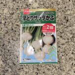 DAISOで大人気の野菜の種子コーナーに秋まき種が並んでいたので【早どりサラダかぶ】を買ってみました。 都内マンション住まいなのでプランター菜園の予定なのですが