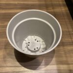 100均 ダイソー 環境にやさしい植木鉢