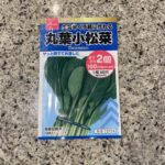 DAISOで大人気の野菜の種子コーナーに秋まき種が並んでいたので【丸葉小松菜】を買ってみました。 小松菜だけでも4種類くらいあって、どれを選べばいいのか難しかっ