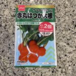 DAISOで大人気の野菜の種子コーナーに秋まき種が並んでいたので【赤丸はつか大根】を買ってみました。 DAISOの野菜の種はとにかく人気がすごくて、店頭に並んだ