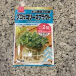 DAISOで大人気の野菜の種子コーナーに秋まき種が並んでいたので【ブロッコリースプラウト】を買ってみました。 ブロッコリースプラウトというと、スーパーフード的に