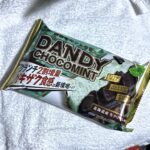 セブンイレブンでフタバ食品【DANDY CHOCOMINT（ダンディ チョコミント）】と言うアイスモナカを購入♪ ミント味のアイスと、ミント入りクランチチョコ、