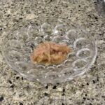 コンビニ セブンイレブン ペットフード