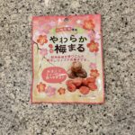 DAISOのお菓子コーナーでみつけた【やわらか梅まる】を買ってみました。 もう何回もリピートしてるDAISOのお気に入りおやつのひとつです。 梅ぼしそのものが大