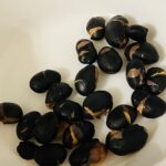 100均 ダイソー 北海道産黒大豆４０ｇ