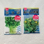 100均 ダイソー 花と野菜の種