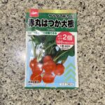 DAISOで大人気の野菜の種子コーナーに秋まき種が並んでいたので【赤丸はつか大根】をリピートで買ってみました。 DAISOの野菜の種はとにかく人気がすごくて、店