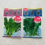 100均 ダイソー ルッコラ