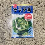 DAISOで大人気の野菜の種子コーナーに秋まき種が並んでいたので【サラダ菜】を買ってみました。 DAISOの野菜の種子はとにかく人気で、発売日からすぐに売り切れ