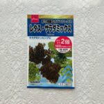 ダイソーには野菜や花の種も売っていて、最近では家庭菜園をする人も増えて大人気なんですよ。そういう私も家庭菜園を始めたので、育てやすそうな【花と野菜の種レタス・サ