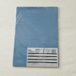 100均 ダイソー Ａ４クリアホルダー１０枚入カラー（アオフジ）