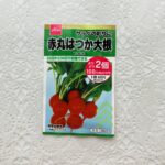 家庭菜園が大人気で、ダイソーで売っている2個100円の種が手に入りにくかったのですけど、先日行ったら大量にあったので【花と野菜の種赤丸はつか大根（よりどり２個1