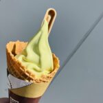 友人が美味しいよと教えてくれたミニストップの【シャインマスカットソフト】を食べてみました。暑い日に食べるソフトクリームって最高ですけど、コンビニで手軽に食べられ